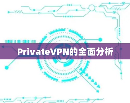 PrivateVPN的全面分析
