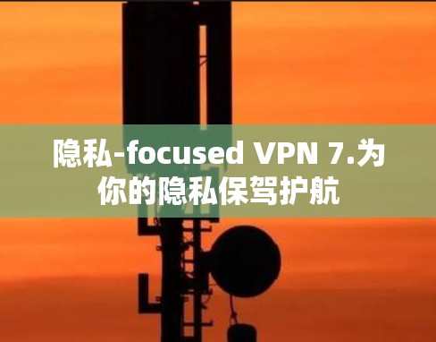 隐私-focused VPN 7.为你的隐私保驾护航 隐私-focused VPN 7.为你的隐私保驾护航