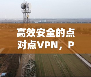 高效安全的点对点VPN，PIA VPN最新版
