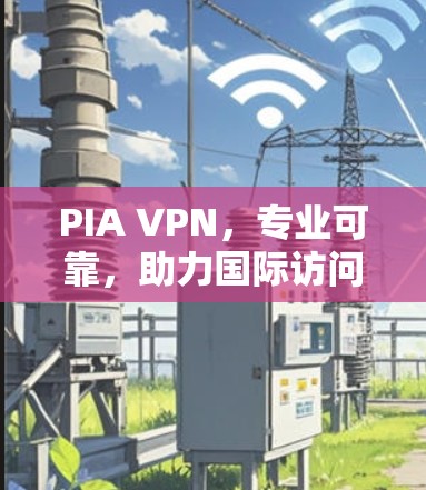 PIA VPN，专业可靠，助力国际访问