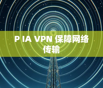 P IA VPN 保障网络传输