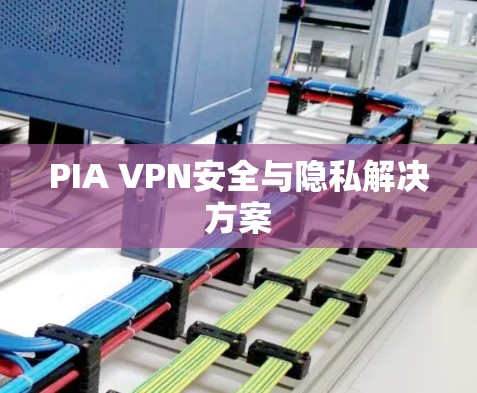 PIA VPN安全与隐私解决方案