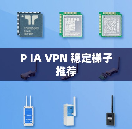 P IA VPN 稳定梯子推荐