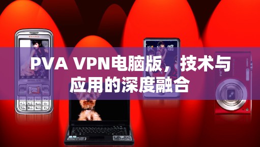PVA VPN电脑版，技术与应用的深度融合
