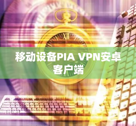 移动设备PIA VPN安卓客户端