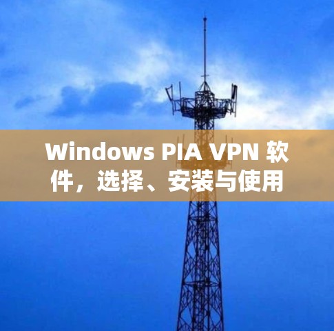 Windows PIA VPN 软件，选择、安装与使用