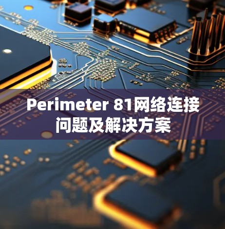 Perimeter 81网络连接问题及解决方案