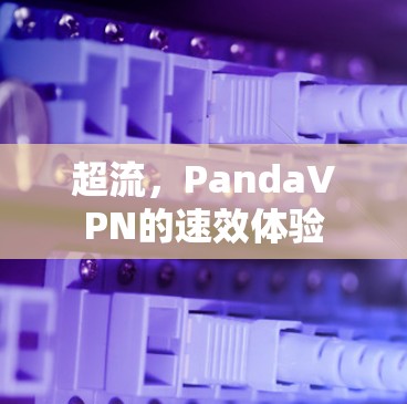 超流，PandaVPN的速效体验