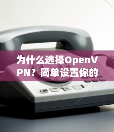 为什么选择OpenVPN？简单设置你的手机端