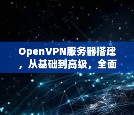 OpenVPN服务器搭建，从基础到高级，全面解析