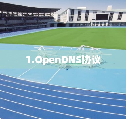 1.OpenDNS协议