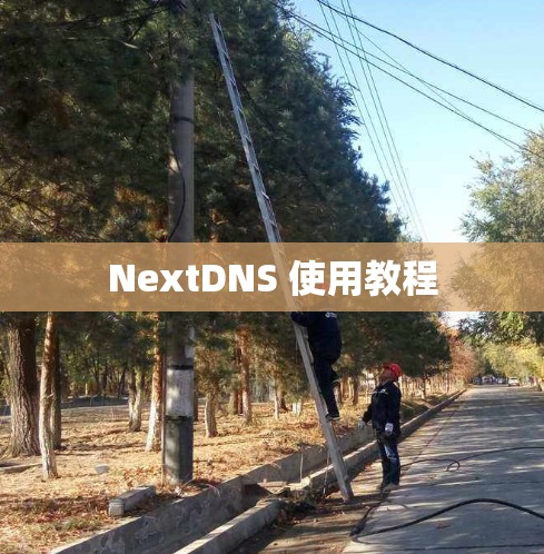 NextDNS 使用教程