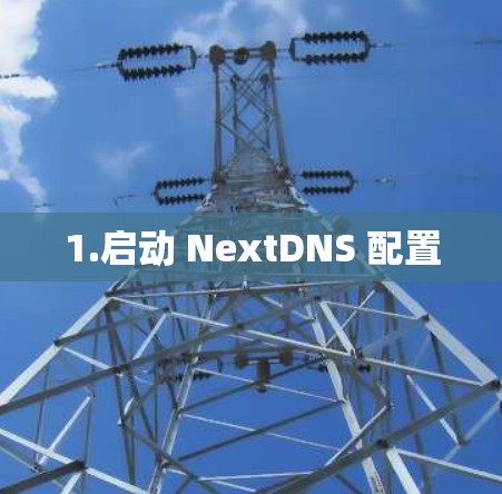 1.启动 NextDNS 配置