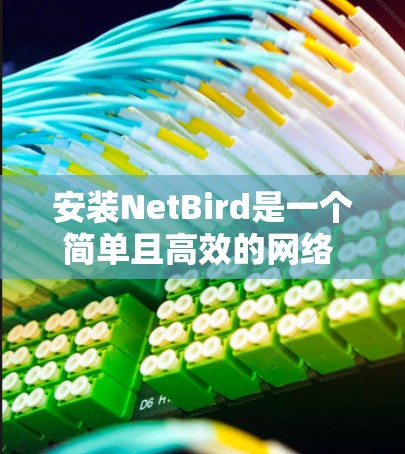安装NetBird是一个简单且高效的网络 birds 代理软件，主要用于网络监控和安全测试。下面是安装NetBird的详细步骤