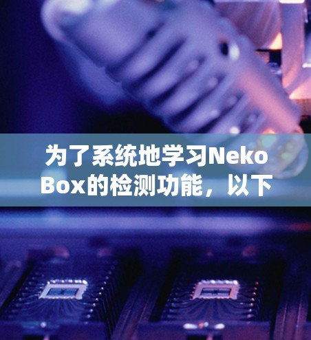 为了系统地学习NekoBox的检测功能，以下是一个分步骤的指南