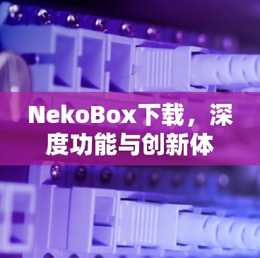 NekoBox下载，深度功能与创新体验的完美解决方案