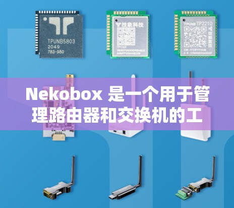 Nekobox 是一个用于管理路由器和交换机的工具，旨在帮助用户优化网络配置。以下是一个详细的使用步骤指南