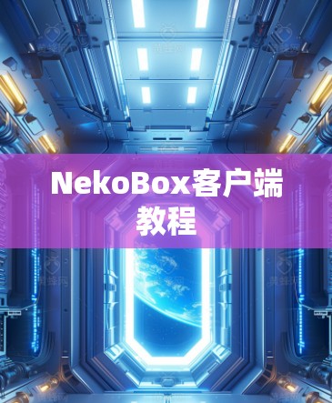 NekoBox客户端教程