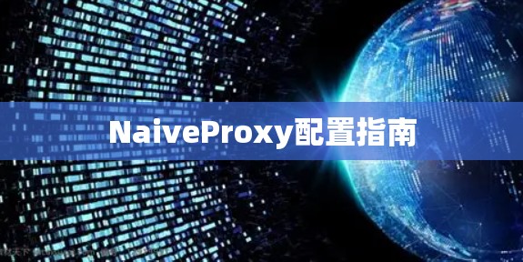 NaiveProxy配置指南