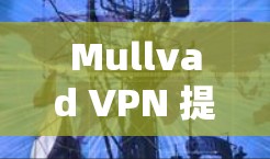 Mullvad VPN 提供多种加密方式,适合不同需求的用户。以下是最新版本的应用推荐,涵盖功能全面性和安全性 Mullvad VPN 提供多种加密方式,适合不同需求的用户。以下是最新版本的应用推荐,涵盖功能全面性和安全性