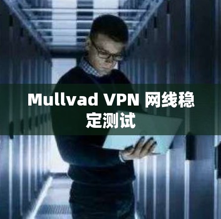 Mullvad VPN 网线稳定测试 Mullvad VPN 网线稳定测试
