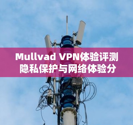 Mullvad VPN体验评测 隐私保护与网络体验分析