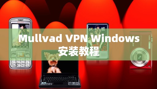 Mullvad VPN Windows安装教程