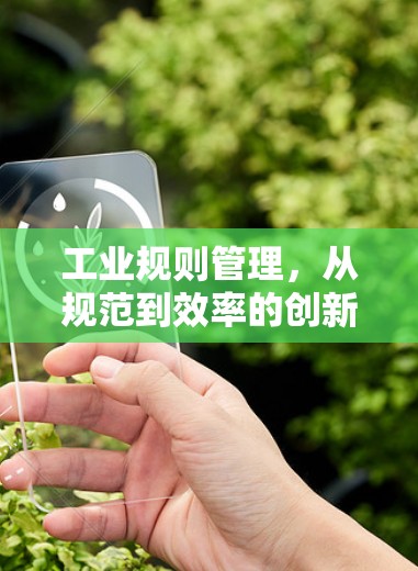 工业规则管理，从规范到效率的创新