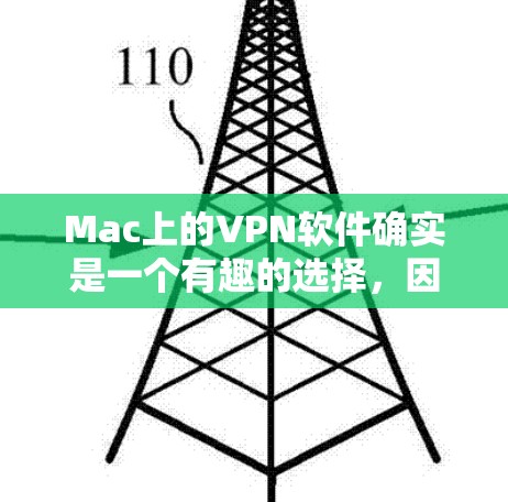 Mac上的VPN软件确实是一个有趣的选择，因为它结合了Mac的界面和功能，适合在Mac电脑上进行视频通话或网络连接。以下是一些Mac上的VPN软件评测，供你参考